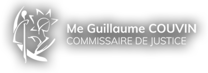 logo Guillaume COUVIN à Ducos martinique (972)