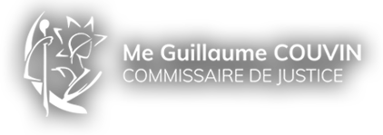 logo Guillaume COUVIN  Ducos martinique (972)